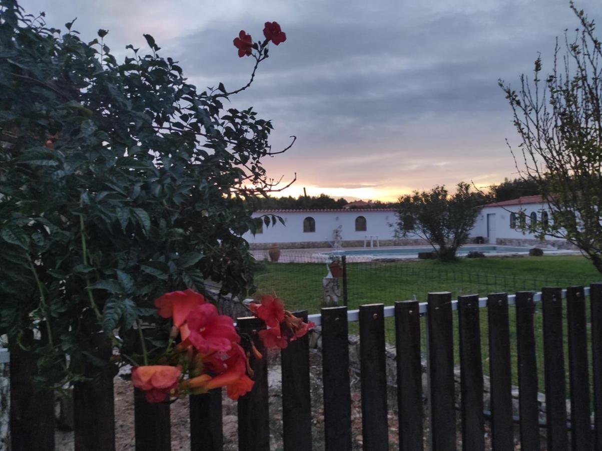 Fazenda Do Marante Hostel โตมาร์ ภายนอก รูปภาพ