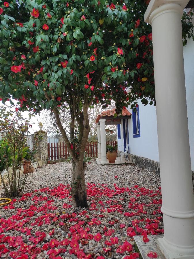 Fazenda Do Marante Hostel โตมาร์ ภายนอก รูปภาพ