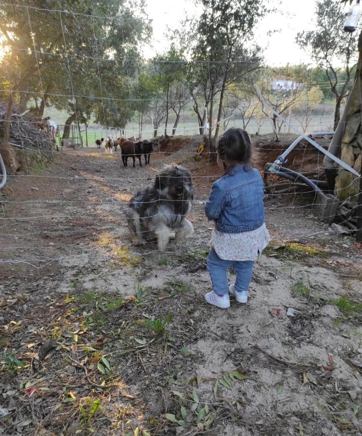 Fazenda Do Marante Hostel โตมาร์ ภายนอก รูปภาพ