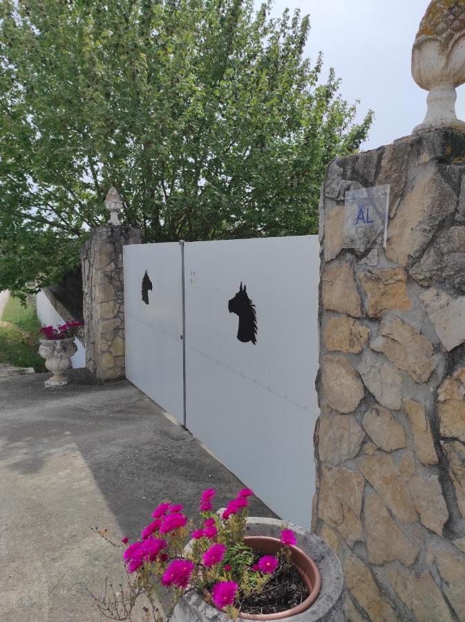 Fazenda Do Marante Hostel โตมาร์ ภายนอก รูปภาพ