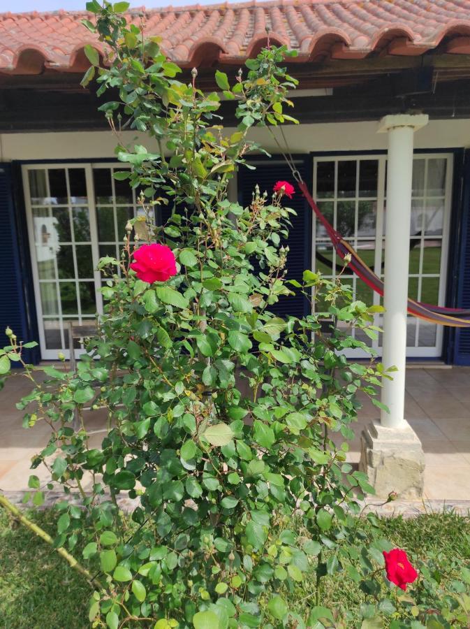 Fazenda Do Marante Hostel โตมาร์ ภายนอก รูปภาพ
